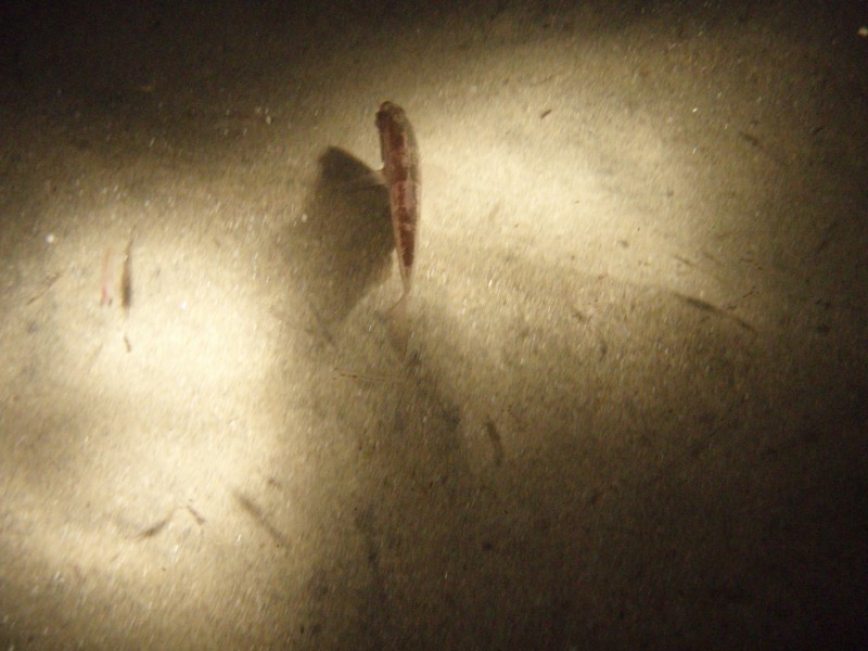 sm_p9132335.jpg