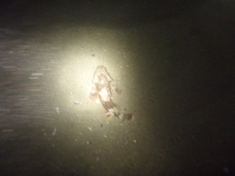 sm_p9132338.jpg