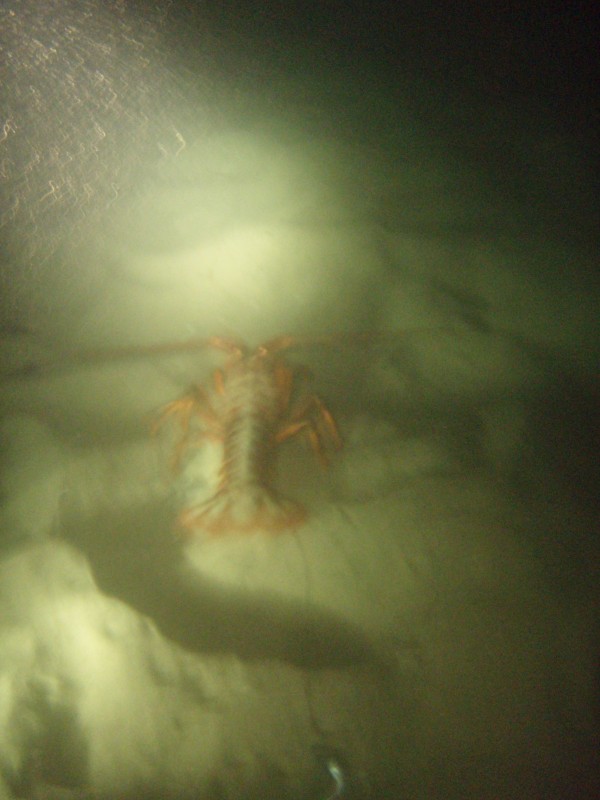 sm_p9132341.jpg