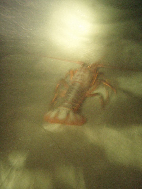 sm_p9132344.jpg