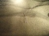 sm_p9132330.jpg