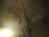sm_p9132331.jpg