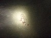 sm_p9132338.jpg