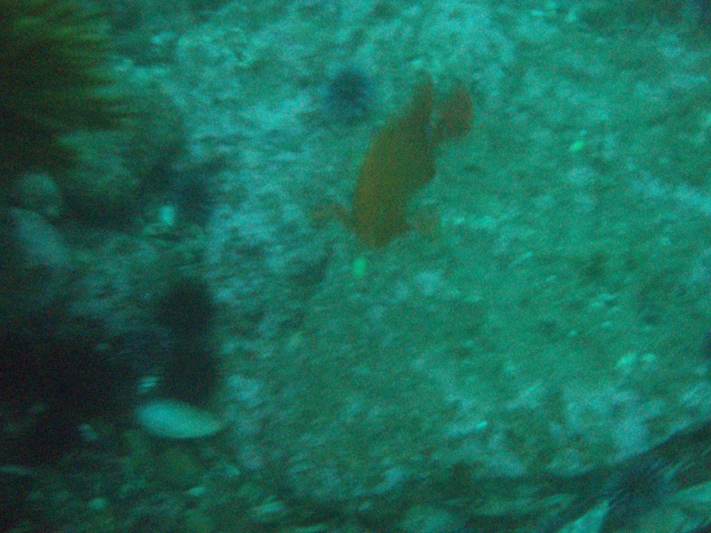 sm_p3092857.jpg