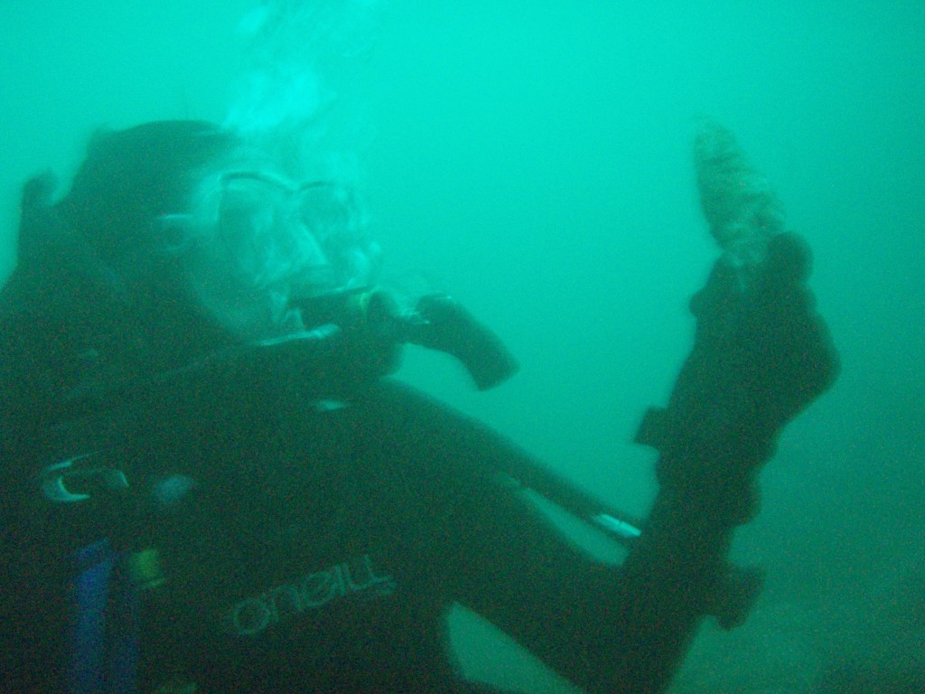 sm_p3092863.jpg