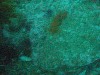 sm_p3092857.jpg