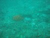 sm_p3092860.jpg