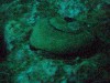 sm_p3092865.jpg