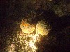 sm_p3092874.jpg