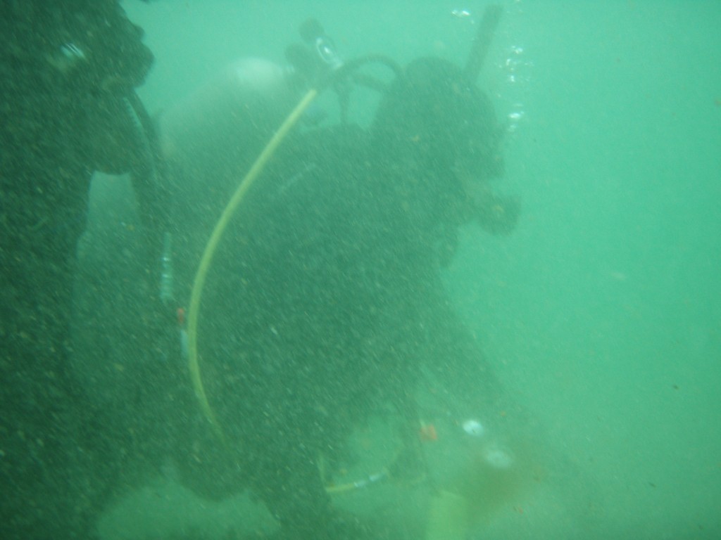 sm_p4082962.jpg