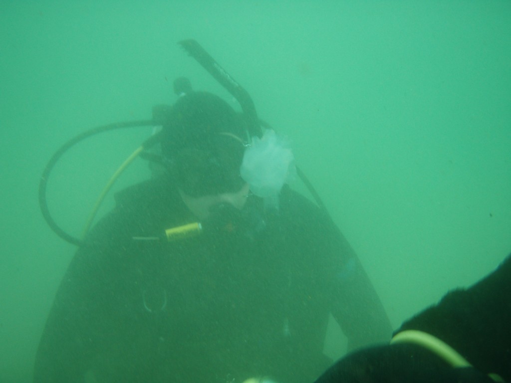 sm_p4082963.jpg