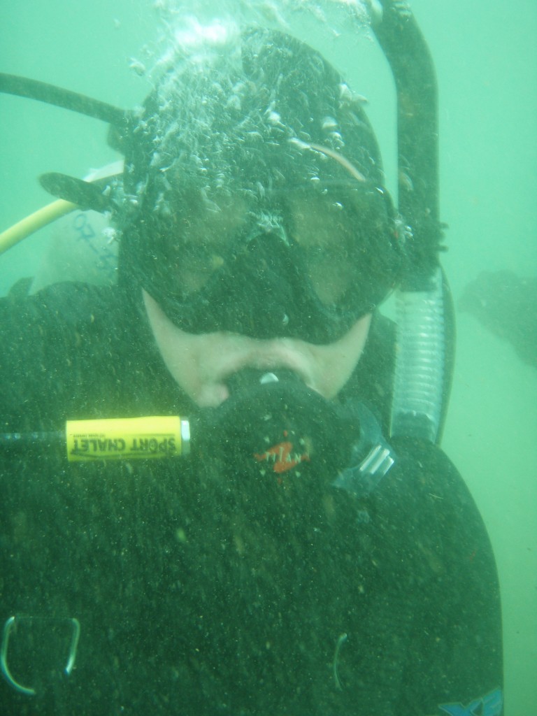 sm_p4082966.jpg