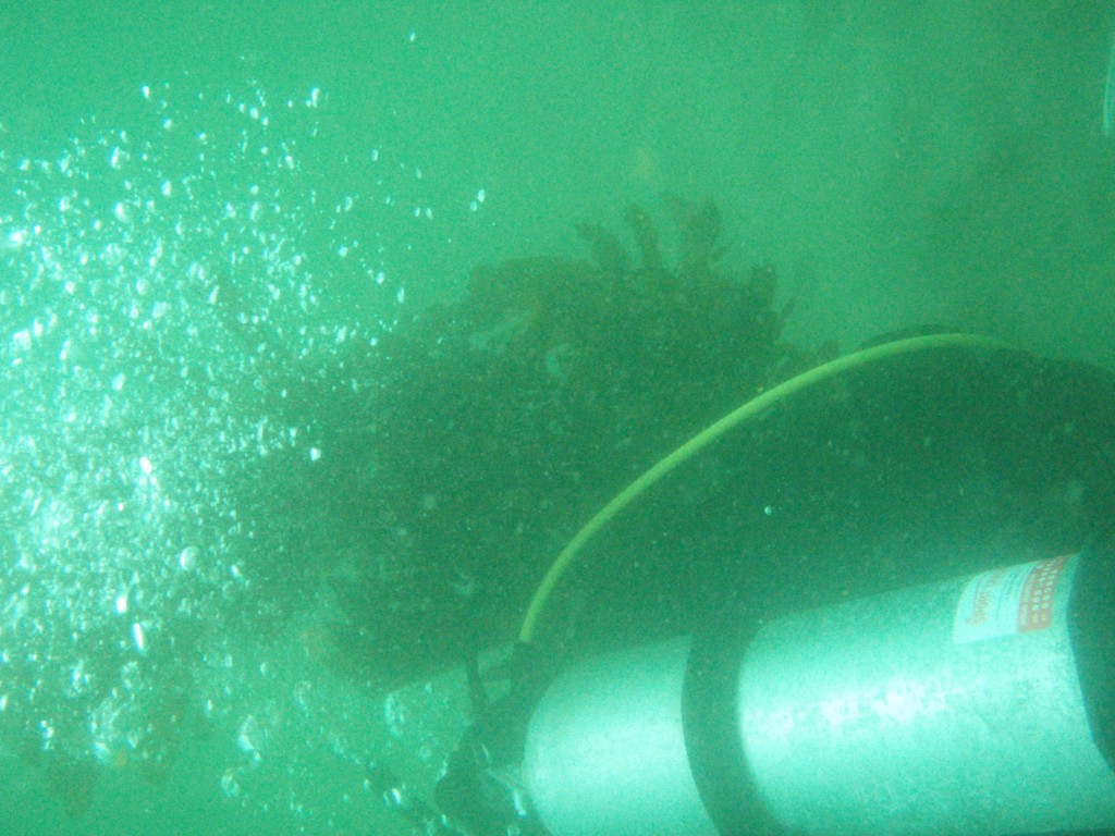 sm_p4082989.jpg