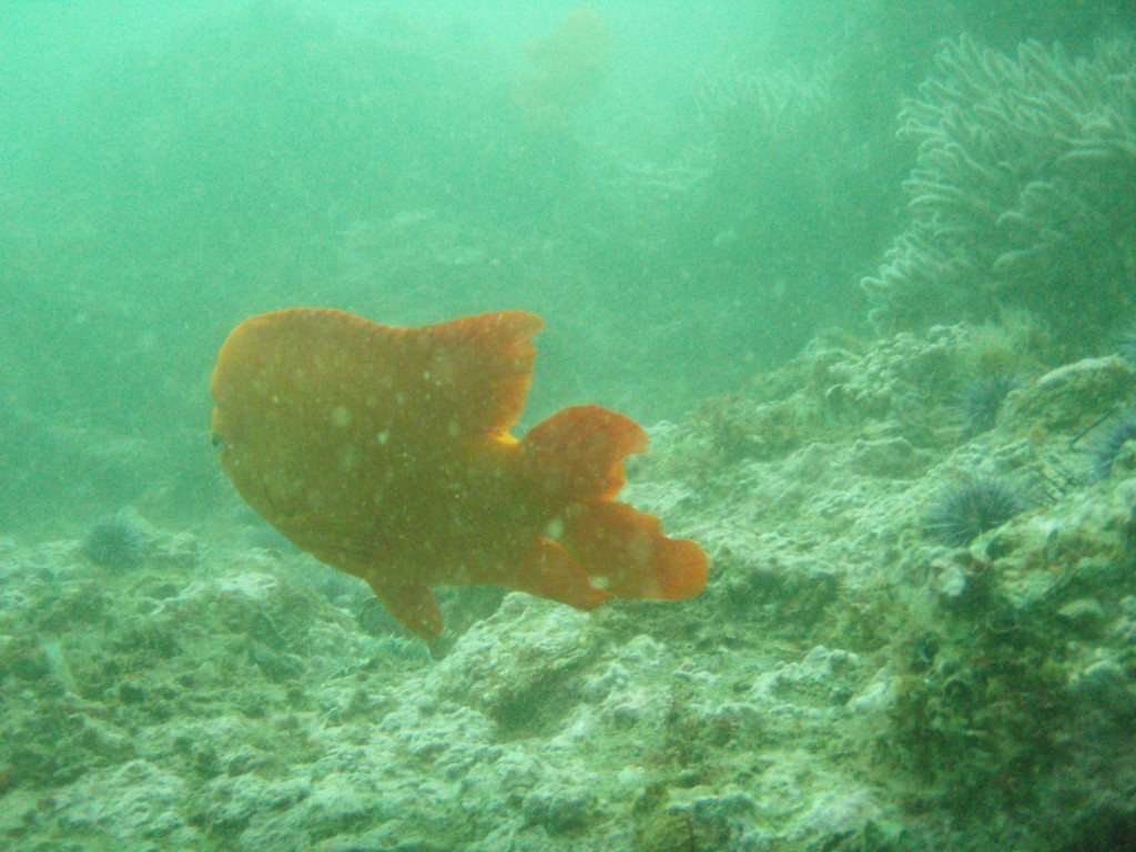 sm_p4082995.jpg