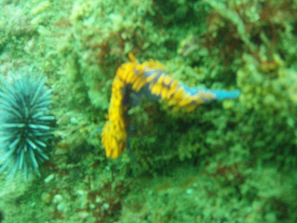 sm_p4082998.jpg