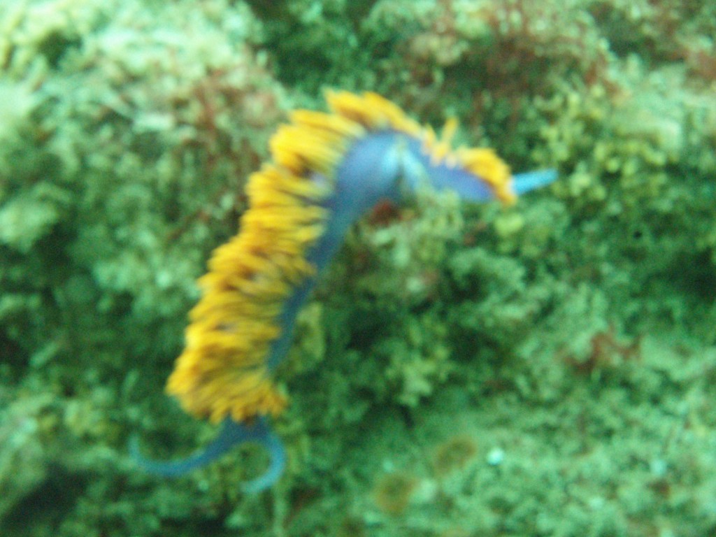 sm_p4083000.jpg