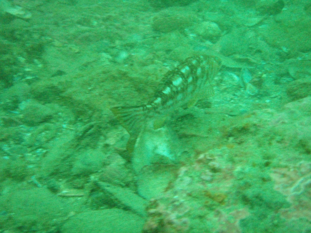 sm_p4083001.jpg