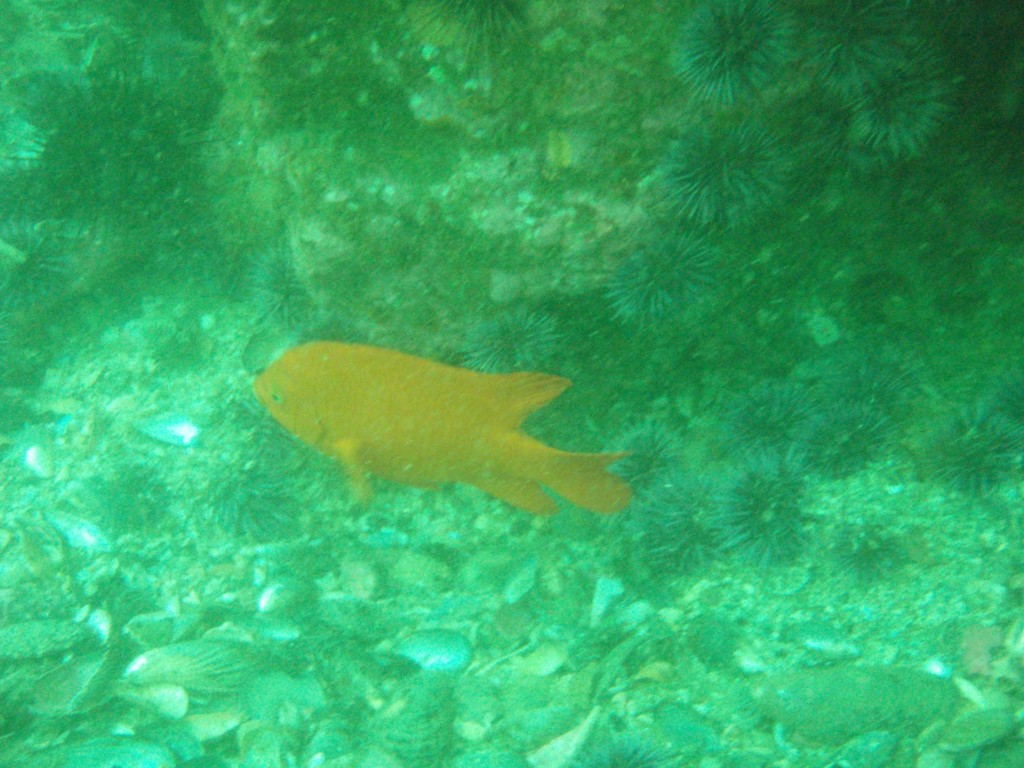 sm_p4083003.jpg