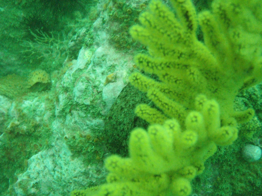 sm_p4083005.jpg