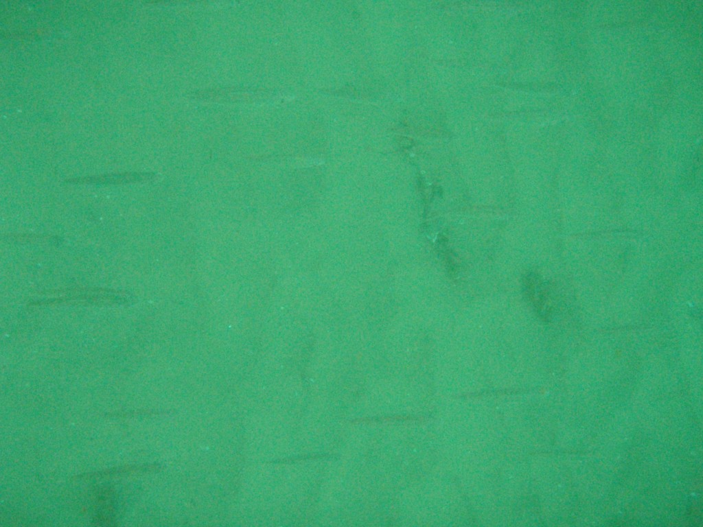 sm_p4083016.jpg