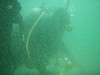 sm_p4082962.jpg