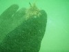 sm_p4082972.jpg