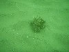 sm_p4082973.jpg