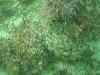 sm_p4082975.jpg