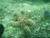 sm_p4082979.jpg
