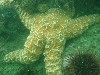 sm_p4082985.jpg