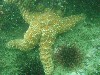 sm_p4082986.jpg