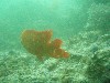 sm_p4082995.jpg
