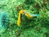 sm_p4082998.jpg