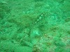 sm_p4083001.jpg
