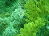sm_p4083005.jpg