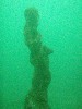 sm_p4083008.jpg