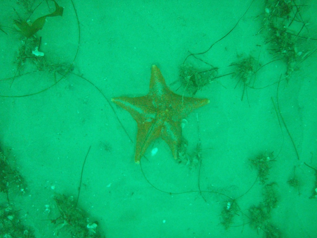 sm_p4123020.jpg