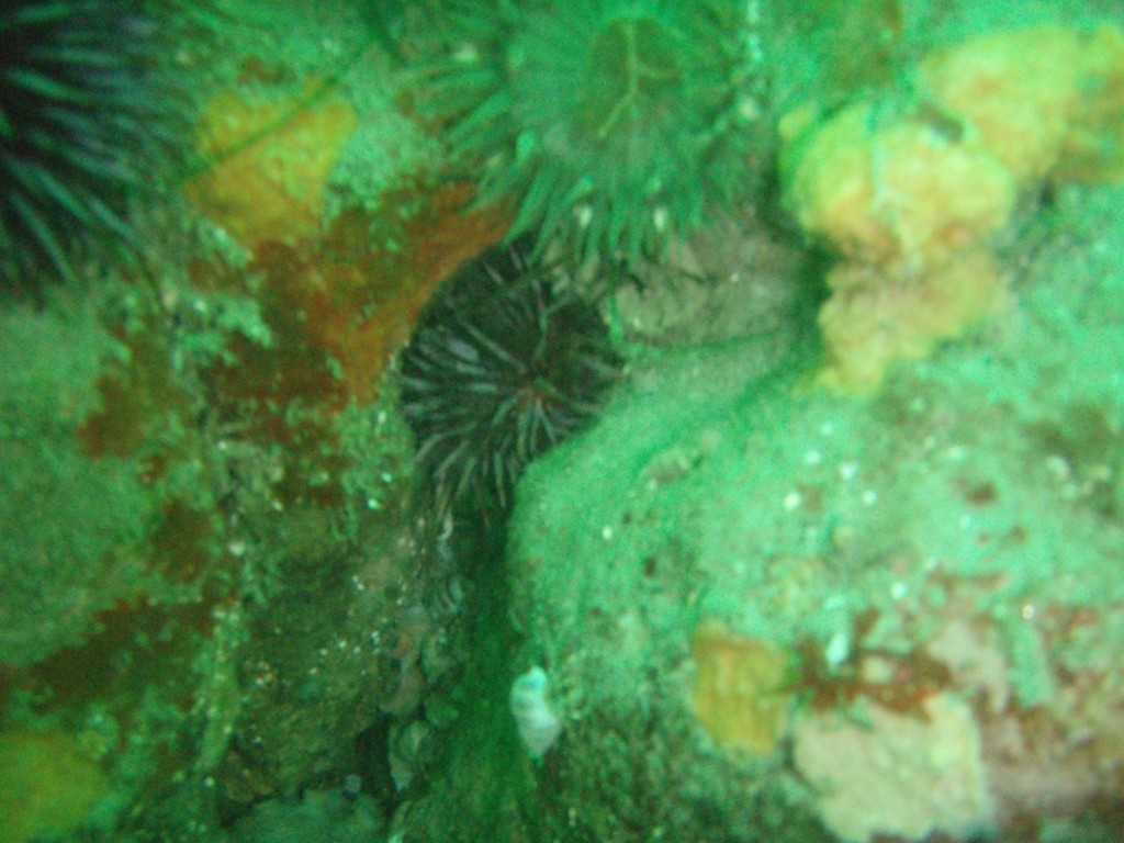 sm_p4123022.jpg