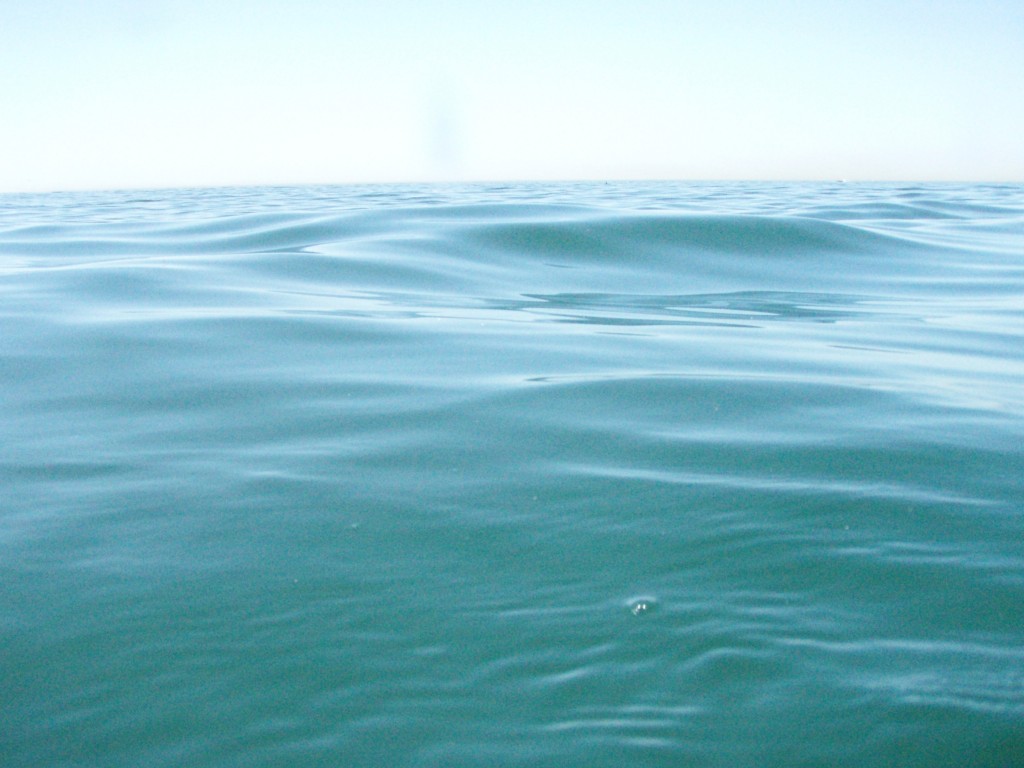 sm_p4123025.jpg