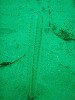 sm_p4123019.jpg