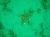 sm_p4123020.jpg