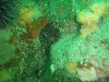sm_p4123022.jpg
