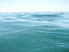 sm_p4123025.jpg