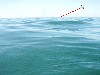 sm_p4123025a.jpg