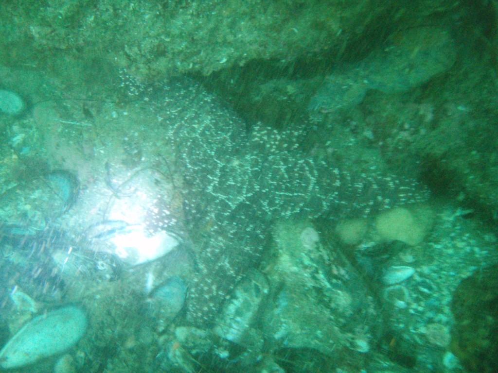 sm_p5183037.jpg