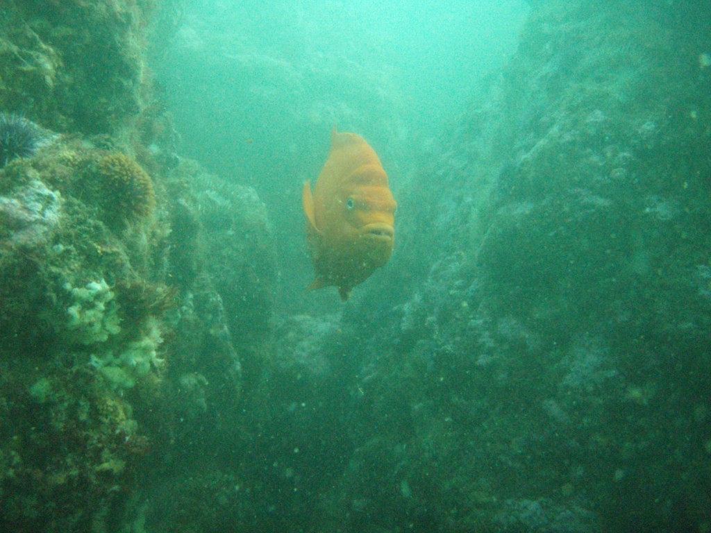sm_p5183040.jpg