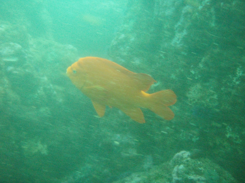 sm_p5183041.jpg