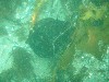 sm_p5183033.jpg
