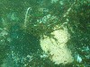 sm_p5183035.jpg