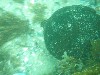 sm_p5183036.jpg
